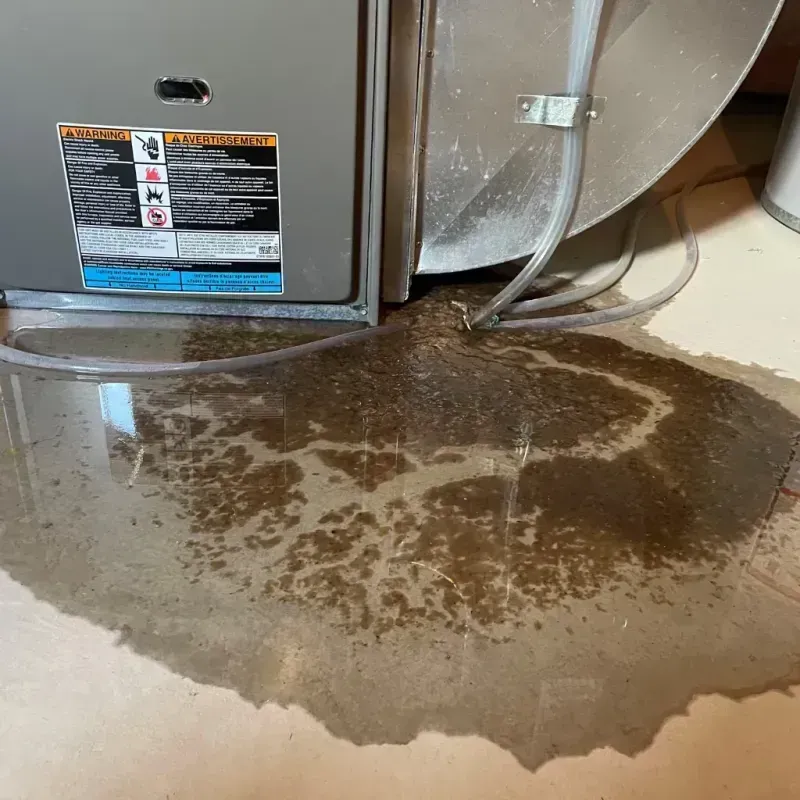 Appliance Leak Cleanup in Tonka Bay, MN